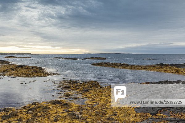Kanada  Nova Scotia  Blue Rocks  Fischerdorf an der Küste  felsige Küste.