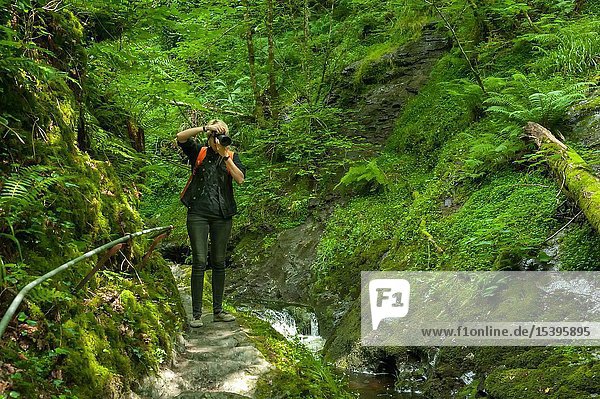 Young photographer in the Lydford Gorge Natural Reserve Devon UK.