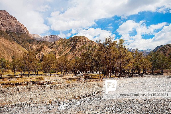 The xinjiang beautiful scenery
