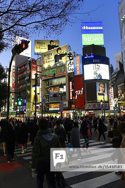Colorful signs on streets at night in Shinjuku Tokyo Japan Asia.