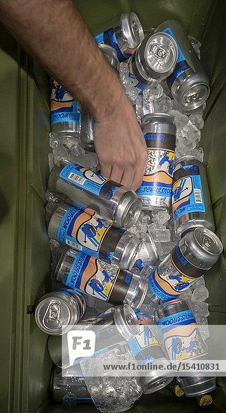 New York NY/USA- December 13 2018 A beer lover reaches for a can of craft brewed Mikkeller NYC Schussboom beer in a cooler in New York on Thursday December 13 2018. Because of tariffs rising aluminum prices are effecting brewers particularly craft brewers with up to 70 percent of the cost of a beer going into the aluminum can. (© Richard B. Levine).