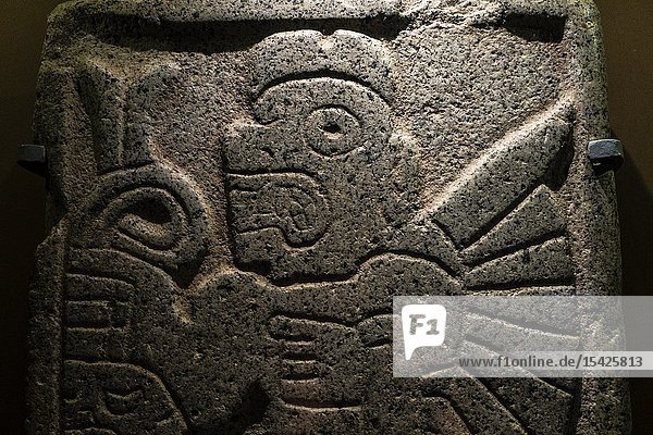 The stone deities of Chavin (1000 BC to 100 AC). Culture of Chavín. Art Museum of Lima Lima Peru-.