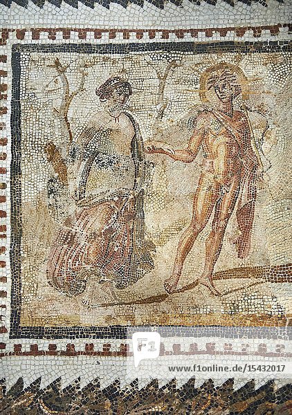 Picture of a Roman mosaics design depicting scenes from mythology from the ancient Roman city of Thysdrus. End of 2nd century AD House in Jiliani Guirat area. El Djem Archaeological Museum El Djem Tunisia.This Roman mosaic depicts Aurore enticing Cephane Apollo enticing Cyrene and Apollo persuing Daphne.