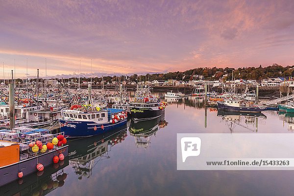 Canada Nova Scotia Digby port area world's largest scallop boat fleet dawn.