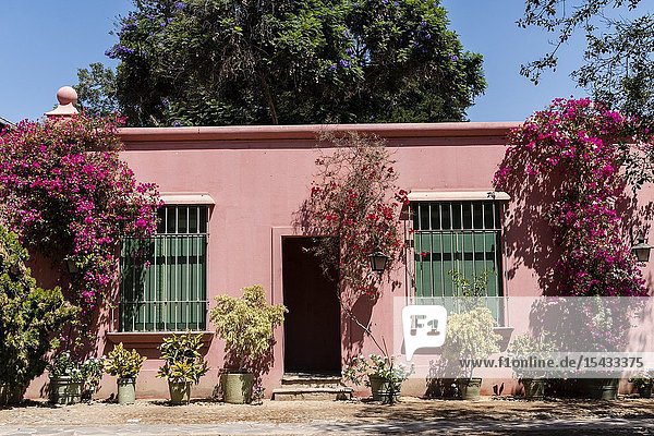 Tacama wine cellar the oldest winery in America Ica Peru.