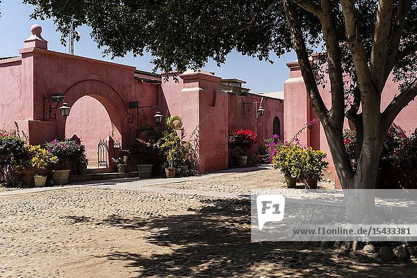 Tacama wine cellar the oldest winery in America Ica Peru.