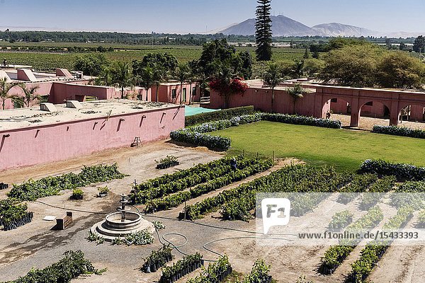 Tacama wine cellar the oldest winery in America Ica Peru.