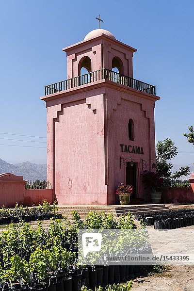 Tacama wine cellar the oldest winery in America Ica Peru.