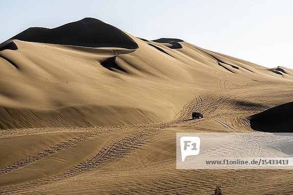 Regional conservation area of the Huacachina lagoon. Subtropical Ica Peru.