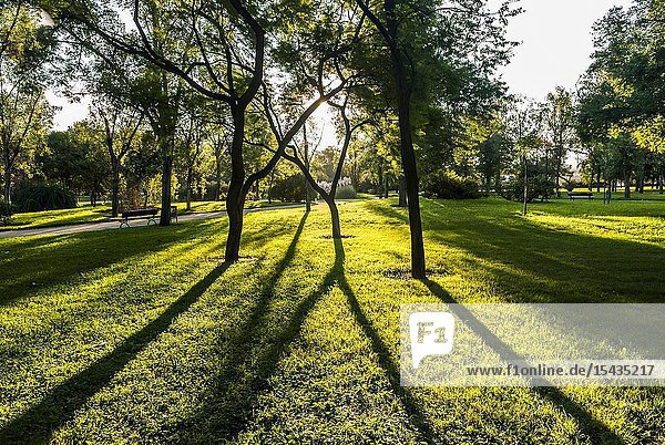 Gardens in the Old Turia River bed (Valencia Spain)