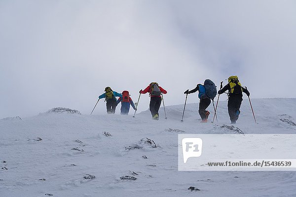 Ski touring in the Lyngen Alps, Lyngen peninsula, Troms County, Norway, Europe