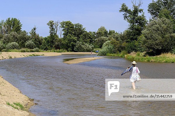 Escalona Beach is an ideal place to spend a day of rest and relaxation surrounded by nature in the Alberche River. In recent years  the Alberche River beach is beginning to be increasingly known as it passes through Escalona.