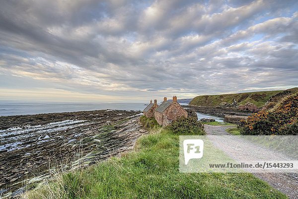 Cove Cockburnspath Berwickshire Scotland UK Europe.