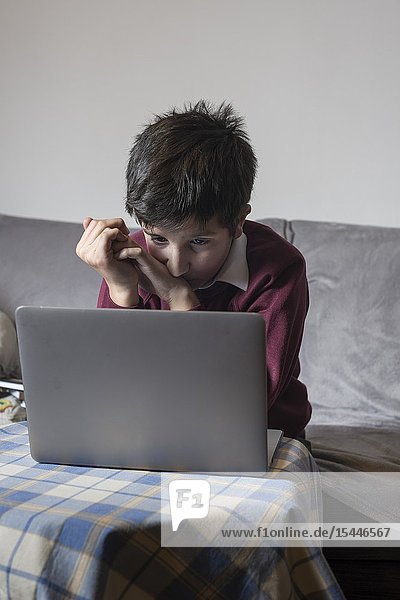 Young boy- 11 years fof age wearing school uniform watching content on the internet.
