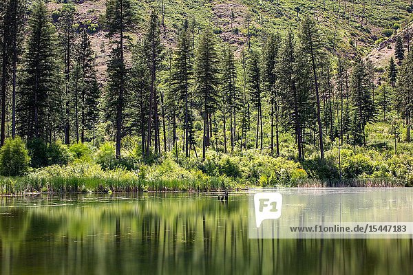Spring Lake on Tucannon Road outside Pomeroy  Washington  is a state managed resource that offers outdoor recreation opportunities from fishing to sheer enjoyment.