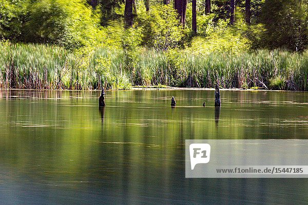 Spring Lake on Tucannon Road outside Pomeroy Washington is a state managed resource that offers outdoor recreation opportunities from fishing to sheer enjoyment.