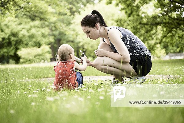 Young patient mother showing daughter baby toddler daisy flowers on meadow