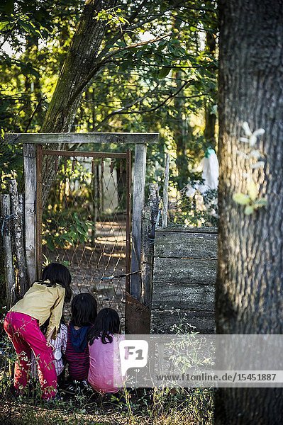Curious children looking through a door in a farm. France.
