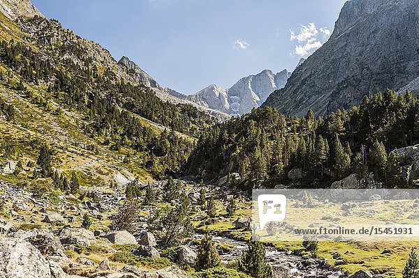 Mountain landscape in Gaube Valley Pyrenees national Park (Hautes-Pyrénées Department Nouvelle-Aquitaine Region France)