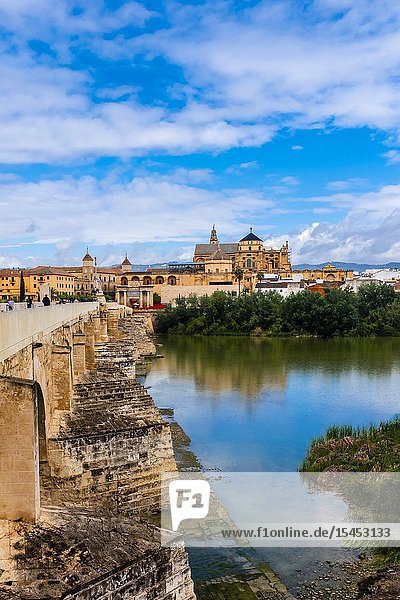 Roman Bridge (Puente Romano) and Rio Guadalquivir (river)  Cordoba  Cordoba Province  Andalusia  Spain.