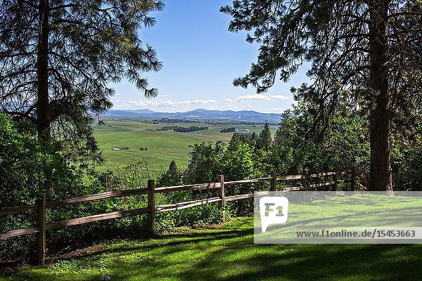 Kamiak Butte in Eastern Washington provides elevated views of the fertile and rich producive farmland known as the Palouse which sells wheat all over the world.