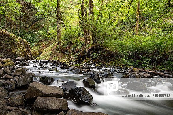 Bridal Veil trail stream and waterfall is one of the most visited sites in the Columbia River Gorge.