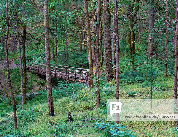 The Wyeth Trail in the Columbia River Gorge has a wooden foot bridge to enable hikers to cross Gorton Creek.