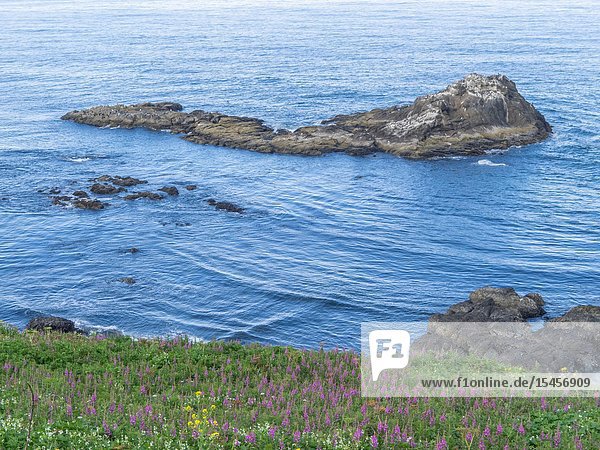 The Yaquina lighthouse also known as the Foulweather Lighthouse was built in the 19th Century to guide mariners off the rugged coast of Oregon.