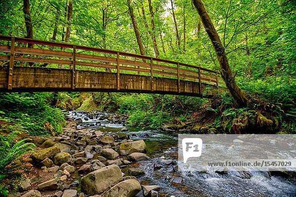 Bridal Veil trail stream and waterfall is one of the most visited sites in the Columbia River Gorge.