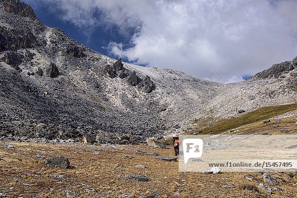 Approaching Paso Negroni on the Cordillera Real Travese Bolivia.