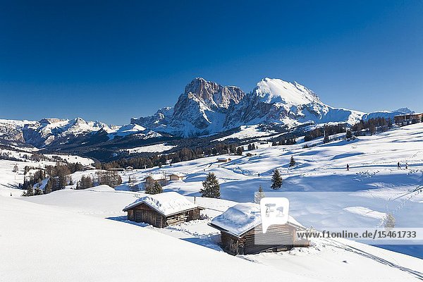 Sassopiatto and Sassolungo from snowy huts at Alpe di Siusi / Seiser Alm Dolomites South Tyrol Italy.