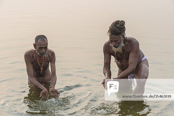 Rome baba and Sadhu bathing in the Ganges River at sunrise, For Editorial Use Only, Allahabad Kumbh Mela, World’s largest religious gathering, Uttar Pradesh, India.