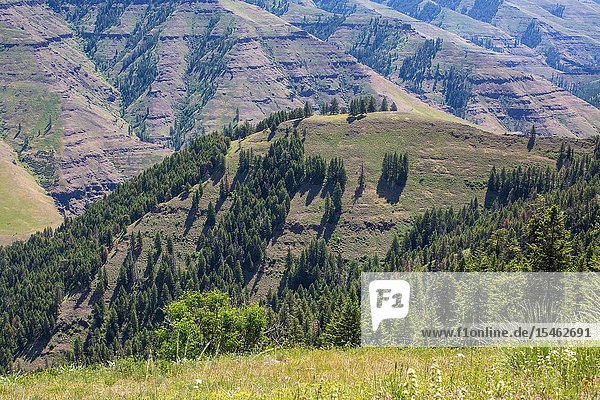 Joseph Canyon is named in honor of the famous Nez Perce Tribal Leader Chief Joseph. The canyon was a winter home to the tribe uintil they were forcibly relocated.