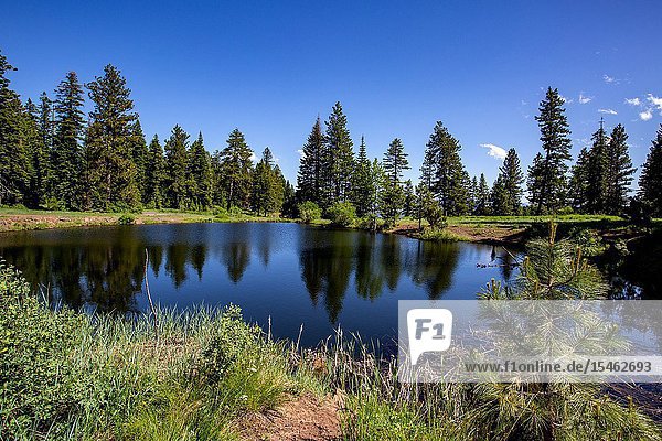 McGraw's Pond is a high mountain small lake very close to the Hell's Canyon Overlook that is thousands of feet above the Snake River.