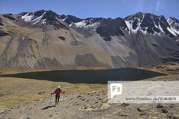 Trekking above Laguna Janchallani (Laguna Sistaña) on the Cordillera Real Traverse Bolivia.