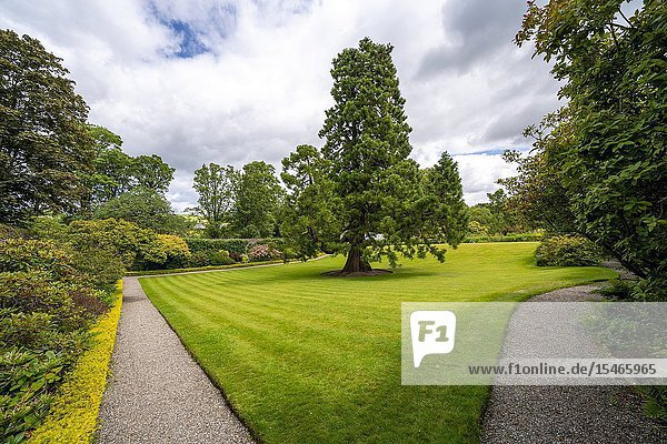 Walled garden at NTS Geilston Garden in Cardross Argyll and Bute Scotland UK.