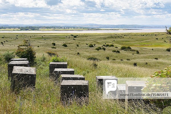Aerial view of Second World War era anti-tank blocks at Gullane Sands in East Lothian Scotland UK.