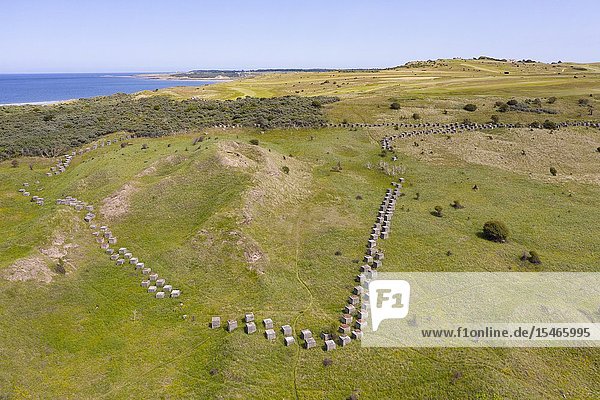 Aerial view of Second World War era anti-tank blocks at Gullane Sands in East Lothian Scotland UK.