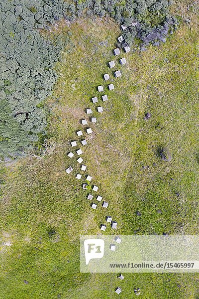 Aerial view of Second World War era anti-tank blocks at Gullane Sands in East Lothian Scotland UK.
