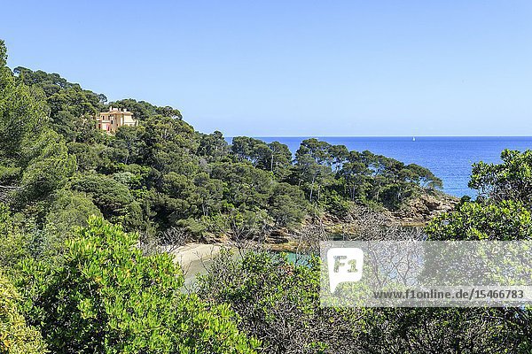 France Var Rayol Canadel sur Mer the Domaine du Rayol Mediterranean garden property of the Conservatoire du littoral Villa Rayolet and the Pointe du Figuier (obligatory mention of the garden name and editorial only no postcards and calendars).