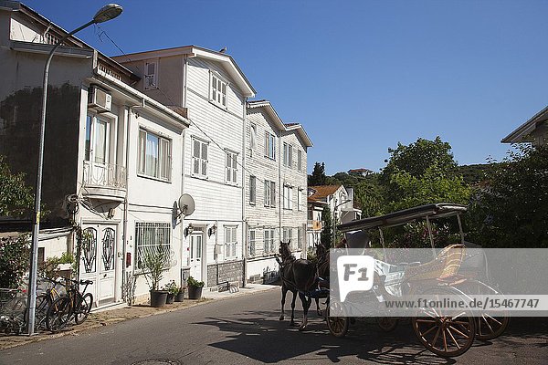 Horse-carriage in front of the old wooden houses in Burgazada island Prince Islands Istanbul Marmara Region Turkey Europe