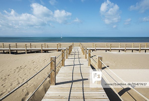 Wooden footbridges at the beach of Riumar. Environs of the Ebro Delta Nature Reserve Tarragona province Catalonia Spain.