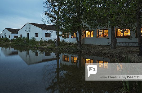 The lighted restaurant windows of the Delta Hotel at dawn. On the left the buildings with the rooms. Next to a flooded rice field. Environs of the Ebro Delta Nature Reserve Tarragona province Catalonia Spain.