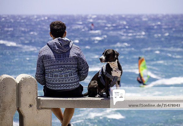 Rear view of man with dog watching windsurfers at Pozo Izquierdo Gran Canaria Canary Islands Spain.