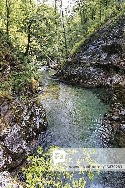 Vintgar Gorge between Bled Lake and Bohinj Lake in Slovenia Europe.