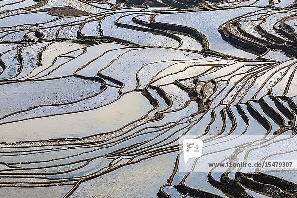 YuanYang rice terraces in Yunnan China one of the latest UNESCO World Heritage Sites.