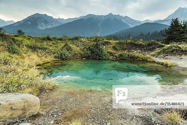 The colorful Inkpots in Johnston Canyon Banff National Park Alberta Canada.