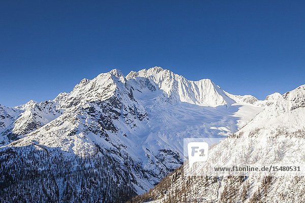 Sunrise on the snowy peak of Monte Vazzeda Alpe dell'Oro Valmalenco Valtellina Sondrio province Lombardy Italy.