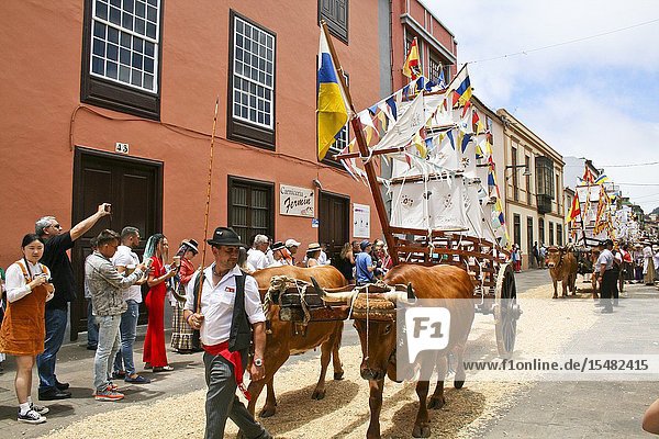 San Cristóbal de La Laguna Tenerife Canary Islands Spain Europe. The feast and procession of San Benito Abbot (Romeria de San Benito Abad) 14th July 2019.