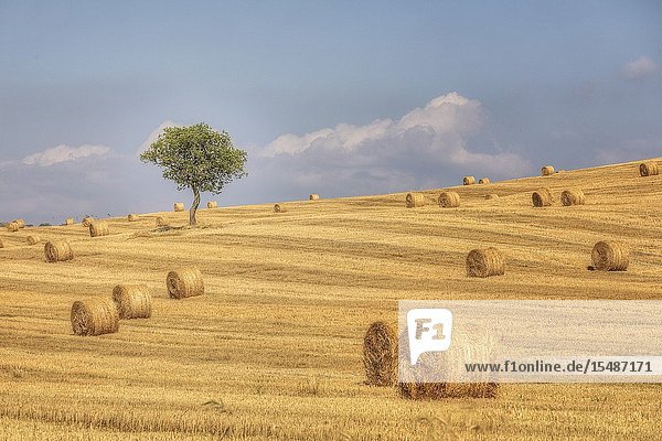 Pienza Tuscany Italy Europe.